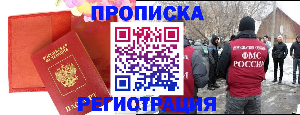 прописка гарантия в Сольцах